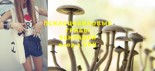 шишки Алзамай