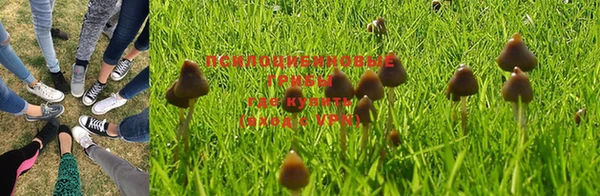 синтетический гашиш Алексин