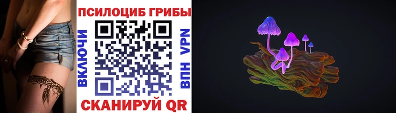 Псилоцибиновые грибы мицелий  где продают   Константиновск 
