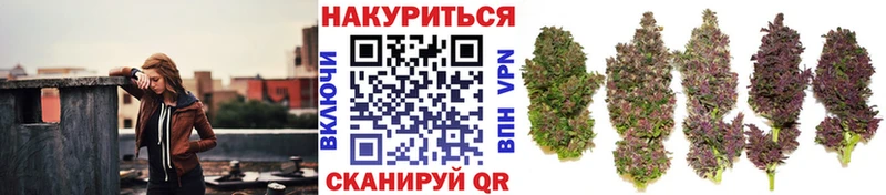 купить   Константиновск  Бошки марихуана тримм 
